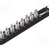 WERA.BELT/A2