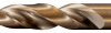 Wiertło spiralne PFERD TOOLS 25203815 1 szt.