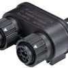 Wieland Electric 46.050.1253.1 Rozdzielacz złącza męskiego okrągłego Seria: RST® MINI Łączna ilość styków: 4 + PE 1 szt.