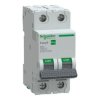 Wyłącznik nadprądowy B 32A 2P Easy9 Pro EZ9F27306