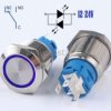 Przycisk chwilowy 19mm LED niebieski 12-24V