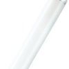 lampa fluoroscencyjna OSRAM HOMELIGHTING 4050300325651 G13 30 W ciepła biel 2400 lm