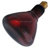R125 RB 250W IR1 E27 Ms 230V Helios 0100