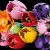 11501 LEGO® Botanicals - Tulip Bouquet