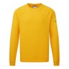 Sweter, AS24, Unisex, L, Żółty