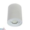 Oprawa downlight ORTAL regulowana fi96 GU10 max. 1x50W biała C23-DLO-AR-GU10-150-WH