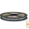 TASMA LED RGB+NW 5050 IP20 300LED/5M