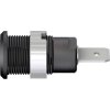 Stäubli 497046-21 Safety jack socket blk rigid Ø 4 mm 1 pc insulated