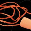 1110 3M disposable earplugs, corded