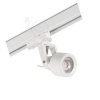 Acord ATL5 biała GU10 PAR16 max 10W Kanlux 1496