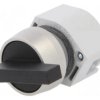 Przełącznik obrotowy 22mm Poz.stab 2 czarny brak IP65 Poz 2 704.101.0