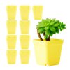 Doniczka Plastikowa MINI 7x7cm Zółta - Do Rozsady - 10sztuk