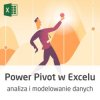 Kurs Power Pivot - analiza i modelowanie danych w Excelu - wersja ON-LINE