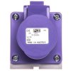 Gniazdo Stałe 16A 2P 24V Fioletowe Ip44 Twist 162V