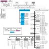 16/32 Bit RISC Flash MCU, Arm Cortex-R4F | PGE | 144 | -40 to 105