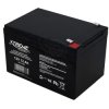 12V 12 Ah 15.1x9.8x10cm Extreme