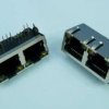 2xGN.MOD RJ-45 2-PORT VERTICAL LED