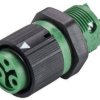 Wieland Electric 46.031.5055.7 Złącze okrągłe złącze żeńskie do wbudowania Seria: RST® MINI Łączna ilość styków: 2 + PE