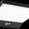 94332 Wall luminaire Ronea, 10.5 W, 680 lm, 3000 K, IP65