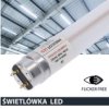 Świetlówka Led T8 G13 120Cm 18W 6500K 1800Lm Pc Prescot Flicker Free