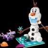 43287 LEGO® Disney - Olaf and Bruni's Picnic Fun