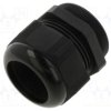 AIO-BSCS-29