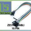 Cable 10 pin ( 10 wires)