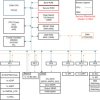 C2000™ 32-bit MCU with 160 MHz, 128-KB flash, FPU, PGA