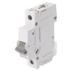 275001104 Wyłącznik nadprądowy, 230/400VAC, Prąd znamionowy: 50A, Bieguny: 1, 10kA