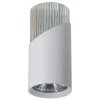 Spot NEO WHITE CHROME DOWNLIGHT 1xGU10 ML0285 Milagro