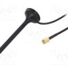 GSM-ANT-CP01