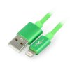 Przewód silikonowy eXtreme USB A - Lightning do iPhone/iPad/iPod 1,5m zielony