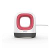 Cricut Easypress Mini Raspberry