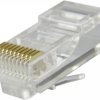 Wtyk modularny RJ50 (10P10C)