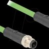 80417 M12 cable, D-coded, 4 pin male / male, 2 m