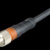 RSMV 3-224/5 M Sensor connection cable, M8 plug, 3-pin, 5 m