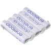 Panasonic 133605 eneloop Battery Pack 5x AAA Z Tab NiMH 6V 750mAh