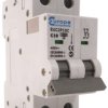 Wyłącznik nadprądowy MCB, Typ C, 2-biegunowy, 40A, 230V, na szynę DIN, Europa EUC2P40C, EUC