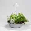Lampa LED do roślin Venso E504 110 SUNLiTE 230 V LED wbudowany na stałe 7 W 1 szt.