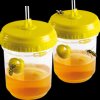 66645INT Wasp trap set of 2
