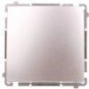 Simon Basic Przycisk światło 10AX 250V, szybkozłącza, srebrny mat BMS1.01/43