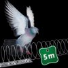 60097INT Pigeon repellent 5 m