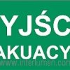 Piktogram 30x15cm Wyjście Ewakuacyjne P-01 Elgo