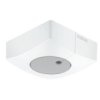 Czujnik Światła Steinel Light Sensor Dual Dali-2 Ipd Ap Kwadrat