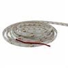 Taśma LED 3528/300 IP65 DC 12V 24W 5m - biała zimna