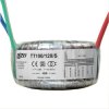 TT100/120/S Transformator sieciowy toroidalny Sizei