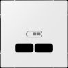 MEG4367-0319 Central plate - System M, USB charging station, pw