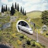 Tunel dwutorowy 3D NBS, w skali H0, malowany