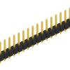 Pin header, 20 pole, pitch 2.54 mm, straight, black, 10053936