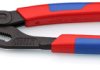 Water pump pliers, 250 mm, jaw opening 50 mm/1.96 inch, 87 02 250 T